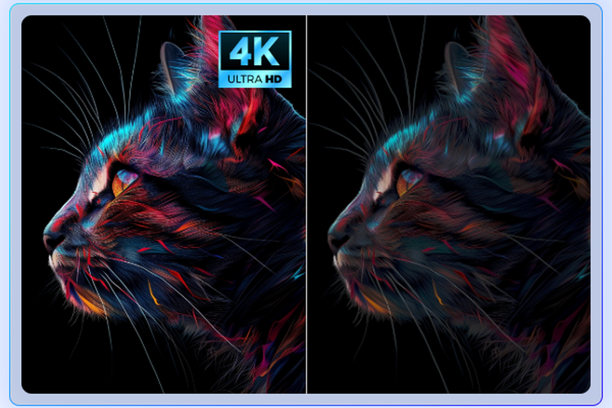 全能王Pot播放器