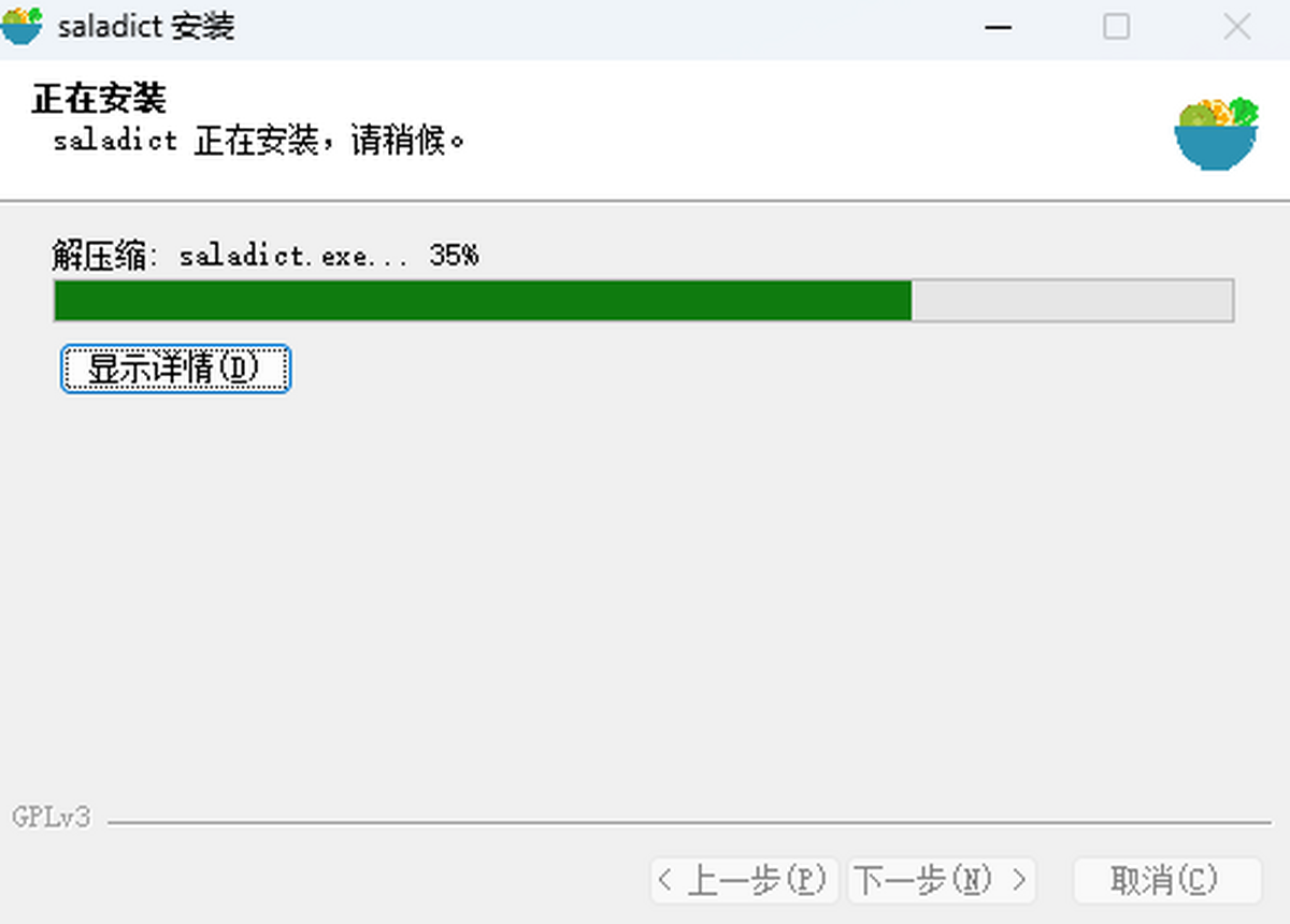 沙拉翻译64位
