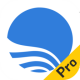 Bigemap Pro